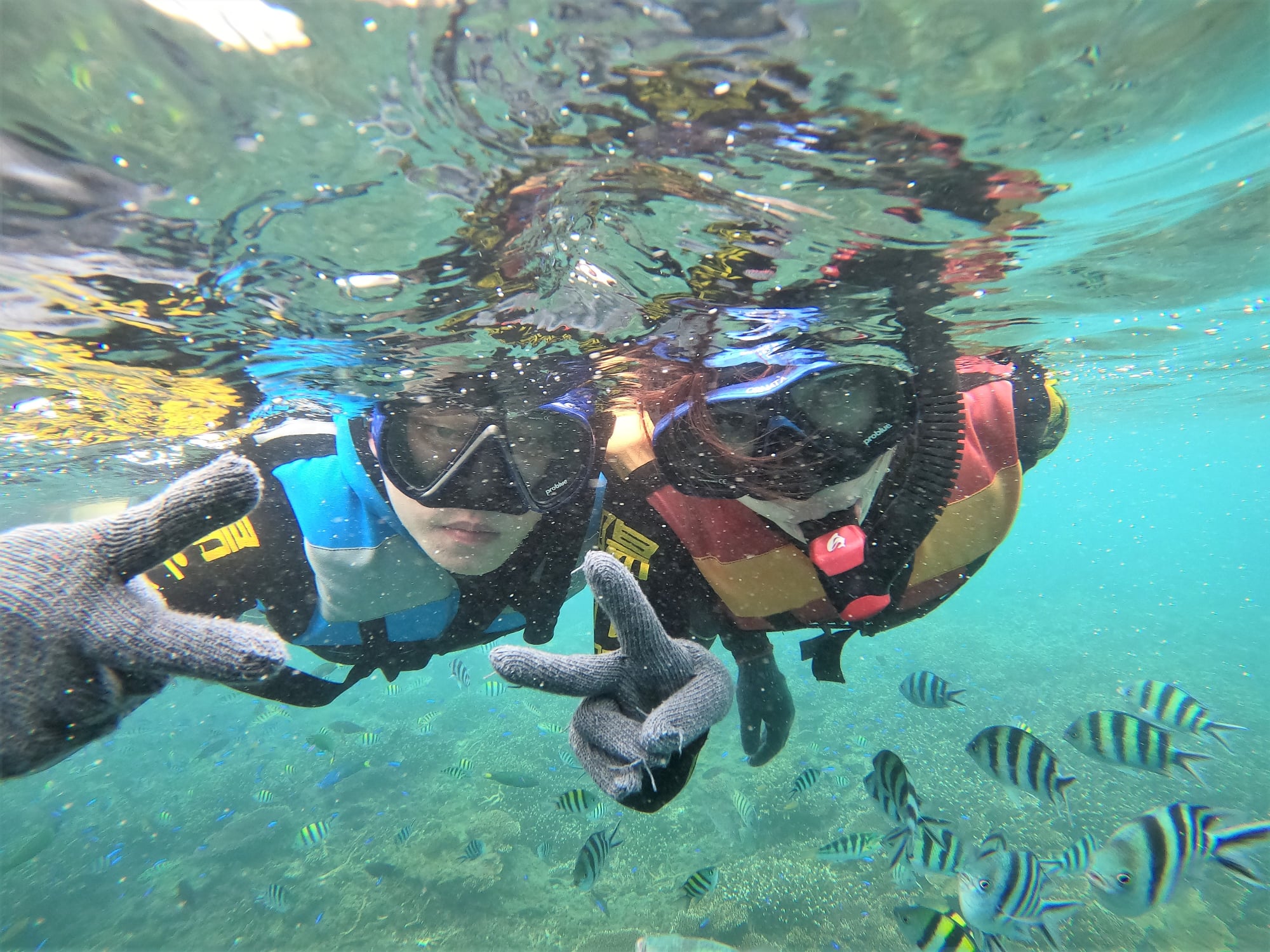 澎湖旅遊-專業浮潛